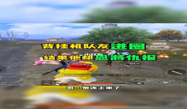 手机吃鸡开挂队友知道吗（《和平精英》挂机行为的法律责任）