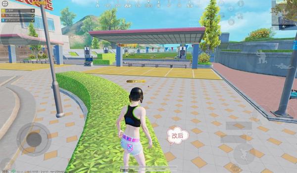 收费和平精英辅助安卓版(免费和平精英辅助的安全性)