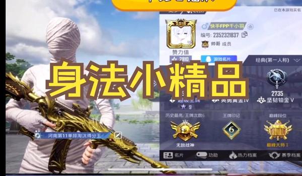 和平精英辅助直装版（和平精英辅助的法律风险）