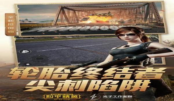 和平精英皮卡丘直装辅助软件(和平精英辅助软件排行榜)