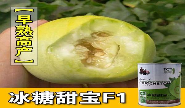 ios和平精英cheto辅助下载地址（ios和平精英辅助怎么下载）