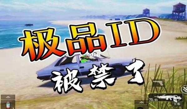 手机吃鸡辅助填写id（辅助填写ID的使用技巧）