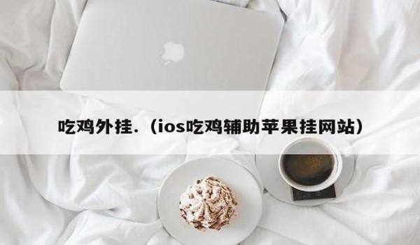 ios吃鸡辅助2020(ios吃鸡辅助工具)