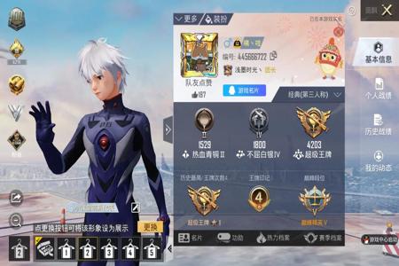 和平精英操作辅助电脑版(和平精英操作辅助的合法途径)