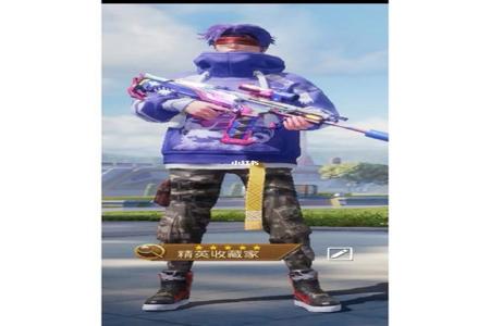 和平精英免费电脑辅助（如何自建和平精英电脑辅助）