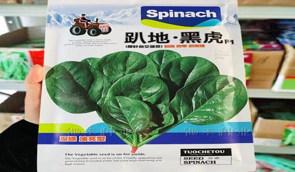 和平精英ios辅助cheto（和平精英ios辅助网址）