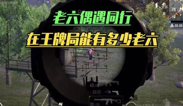 主播遇到挂和平精英怎么解决(各大主播遇到外挂和平精英)
