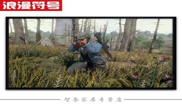 吃鸡家园怎么挂壁画（吃鸡家园怎么把壁画悬空）