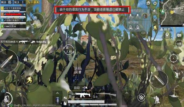 吃鸡开挂人脸黑了怎么解决（吃鸡开挂封了怎么解开）