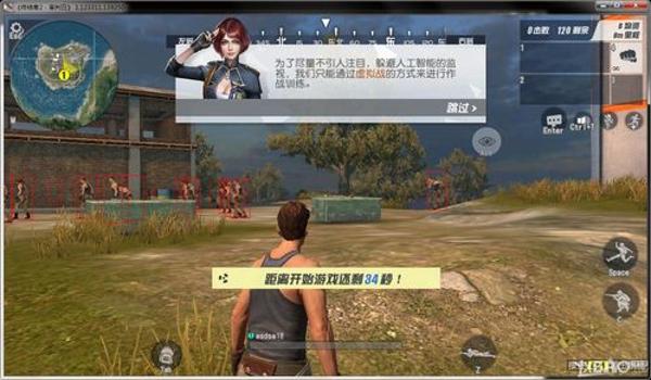 电脑吃鸡辅助哪个好（吃鸡辅助软件的开发难度）