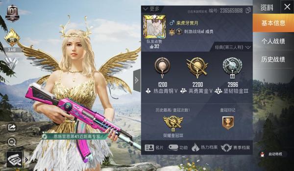 和平精英太极挂手机版（和平精英太极挂手机版）