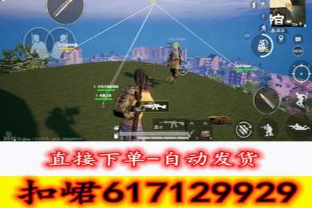 手游和平精英模拟器辅助（和平精英模拟器辅助的制作原理）