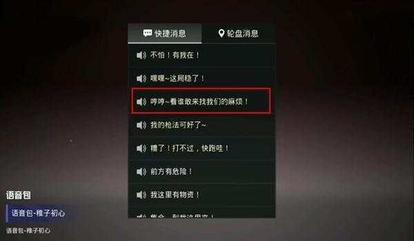 吃鸡代挂语音怎么设置的（吃鸡语音按键怎么设置）