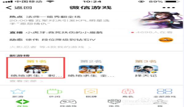 苹果吃鸡怎样开挂啊微信(苹果吃鸡微信区id)