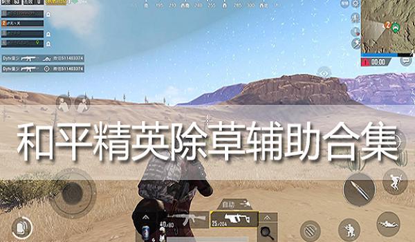 和平精英迪斯尼直装辅助（迪斯尼直装辅助的使用技巧）
