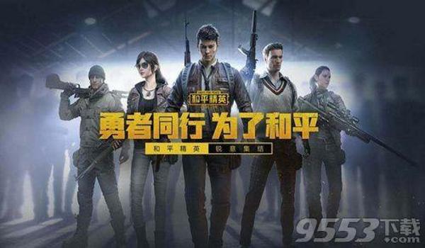 和平精英ios辅助超级签名设计(和平精英ios辅助超级签名什么意思)