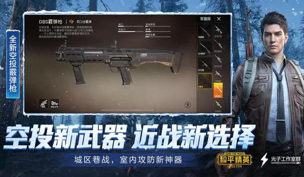 和平精英辅助直装稳吗（和平精英辅助直装稳定性分析）