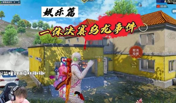 和平精英辅助bilibili直装低价（和平精英辅助的法律责任）