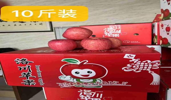 苹果手越狱了可以开挂吃鸡(苹果可以开外挂打吃鸡吗)
