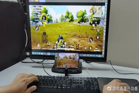 吃鸡pc辅助软件（吃鸡PC辅助软件）
