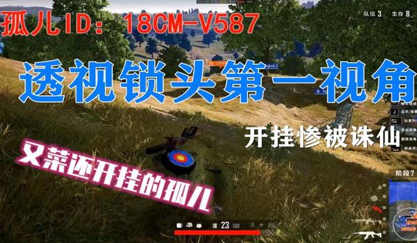 苹果手机如何辅助吃鸡（苹果手机如何在吃鸡开挂）