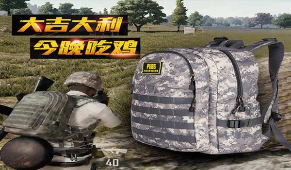荒野行动吃鸡辅助pc端游（荒野行动吃鸡辅助PC端游）
