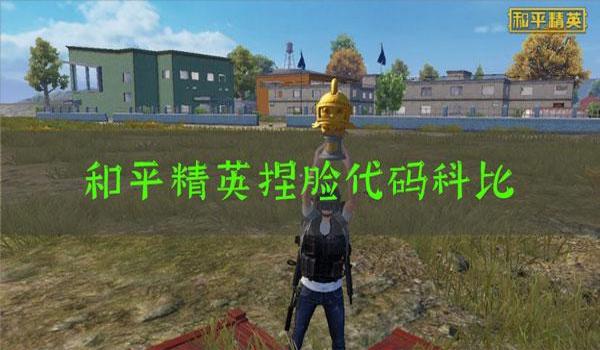 和平精英辅助功能下载手机版（和平精英辅助功能的使用技巧）