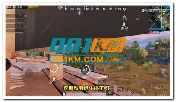 手游低价吃鸡辅助卡盟（手游低价吃鸡辅助卡盟的选择标准）