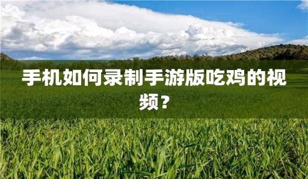手游轻量版吃鸡辅助器(如何自制手游吃鸡辅助器)