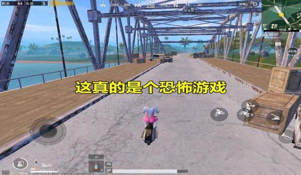 吃鸡开挂仙女怎么玩的（吃鸡游戏开挂怎么做到的）