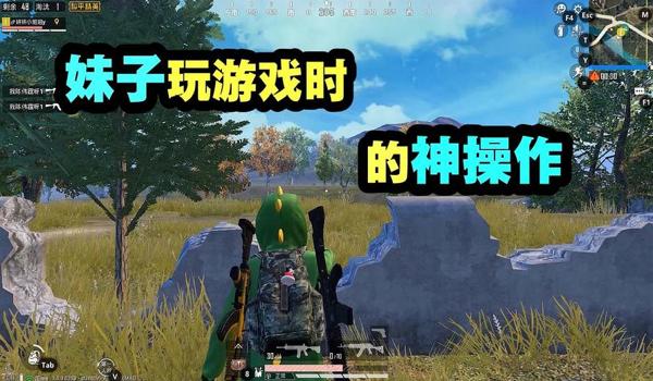 和平精英手游毒药绘制辅助（和平精英毒药绘制辅助的最新版本特性）