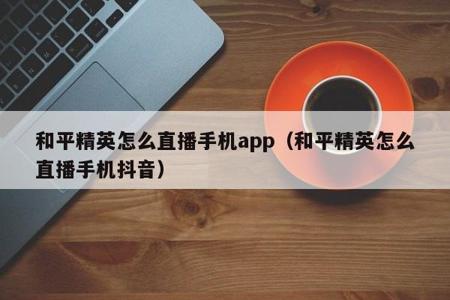 和平精英模拟器辅助群（和平精英模拟器辅助工具推荐）