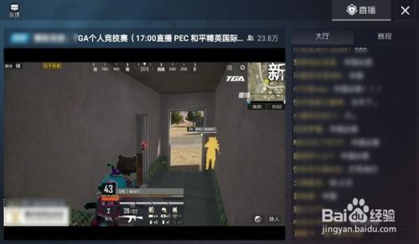 和平精英手游赛事开挂（和平精英赛事规则与公平性）