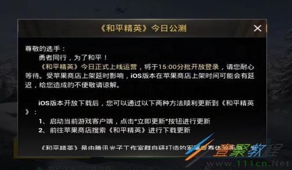 和平精英ios麒麟辅助官网（和平精英ios版辅助官网）