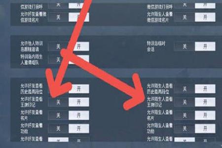 和平精英pc有辅助瞄准吗(和平精英辅助瞄准设置 游戏设置 在和平精英游戏设置界面的基础设置下的枪械设置中可以开启或关闭辅