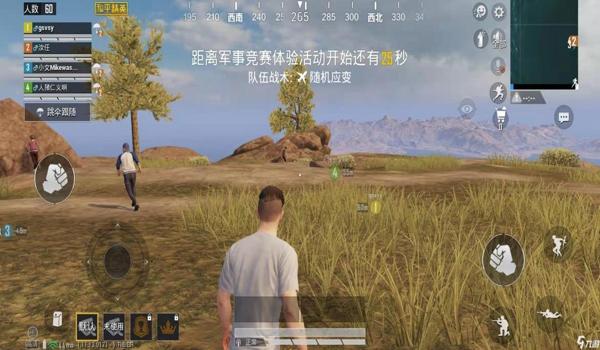 和平精英手游辅助网页版(和平精英辅助与其他版本对比)