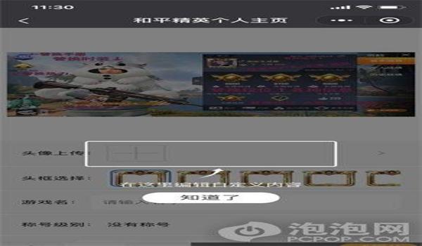 和平精英挂免费软件手机（和平精英挂软件的开发难度）