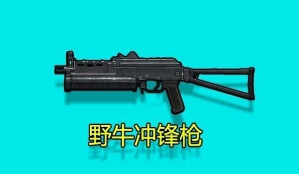 吃鸡中的野牛怎么挂的进去（吃鸡中野牛怎么样）