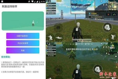 和平精英辅助透视模拟器(和平精英辅助软件的法律风险)
