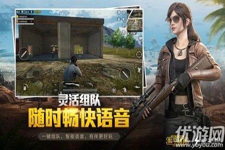 和平精英绿叶模拟器辅助（和平精英绿叶模拟器的开发背景）