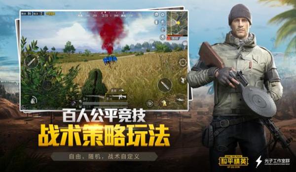 和平精英免费直装辅助网站（和平精英辅助网站安全性）
