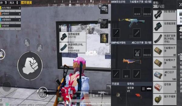 和平精英直装辅助哪个好(和平精英辅助功能对比)