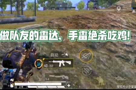 和平精英电脑雷达辅助（如何自建和平精英雷达辅助）