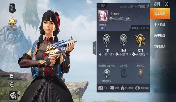 皮皮直装辅助器和平精英（皮皮直装辅助器的最新功能）