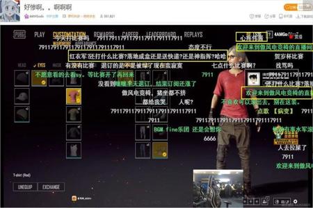 查电脑上面的吃鸡挂（如何鉴别吃鸡挂的真伪？）