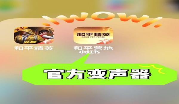 和平精英辅助器透视手机（和平精英辅助器的开发难度）
