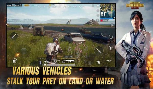 手机吃鸡PUBG辅助破解版（PUBG辅助软件的开发过程）