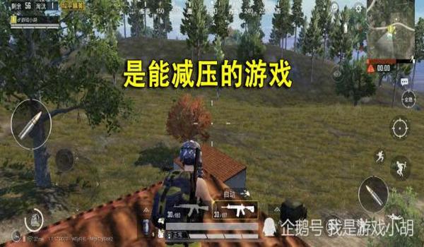 怎样开挂吃鸡游戏教程手机版(吃鸡游戏中的公平竞技玩法)