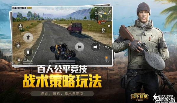 和平精英手机自带 辅助（和平精英辅助对战力影响）