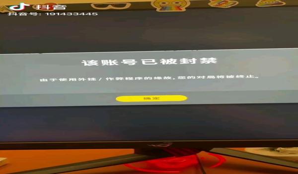 吃鸡辅助网站手机号（吃鸡辅助被封号后的补救措施）